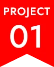 PROJECT 01
