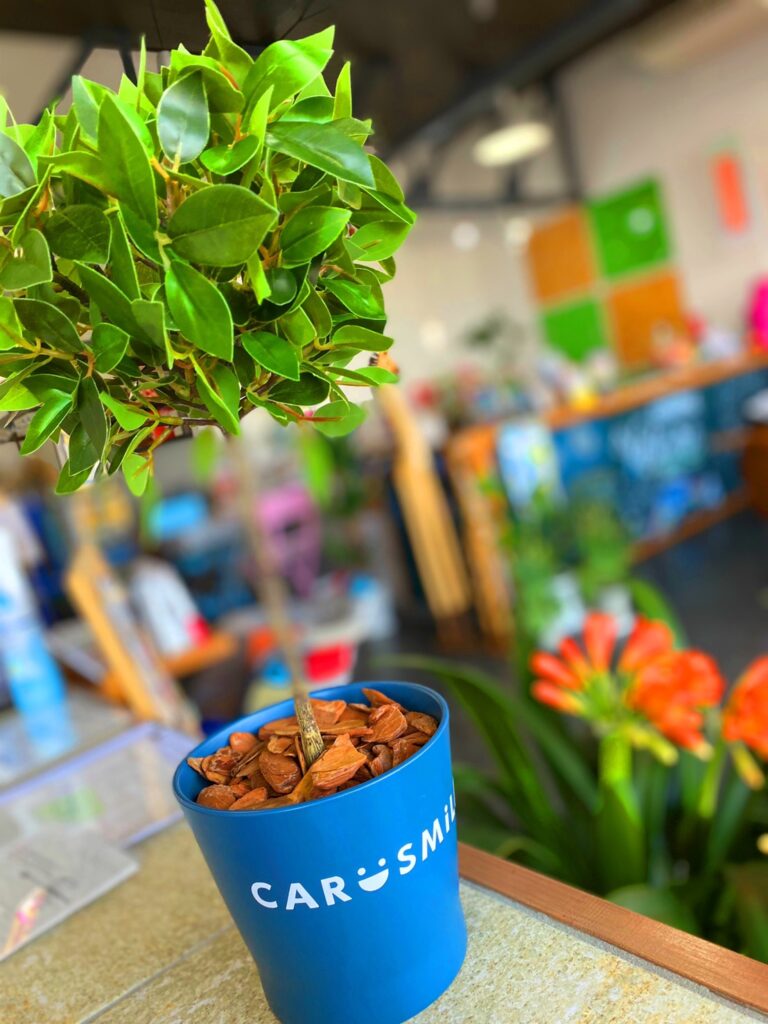 ＩＫＥＡに行ってフェイクグリーンを買ってきました(´ε｀ )