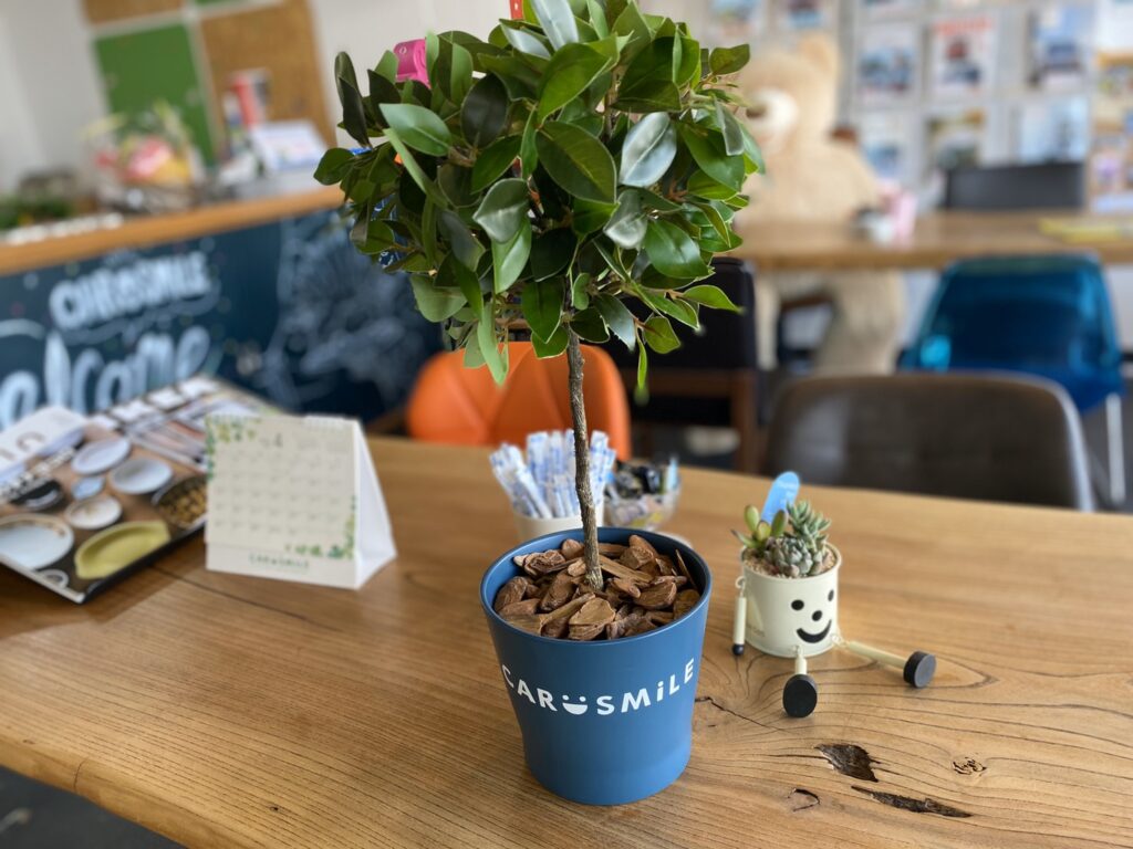 ＩＫＥＡに行ってフェイクグリーンを買ってきました(´ε｀ )