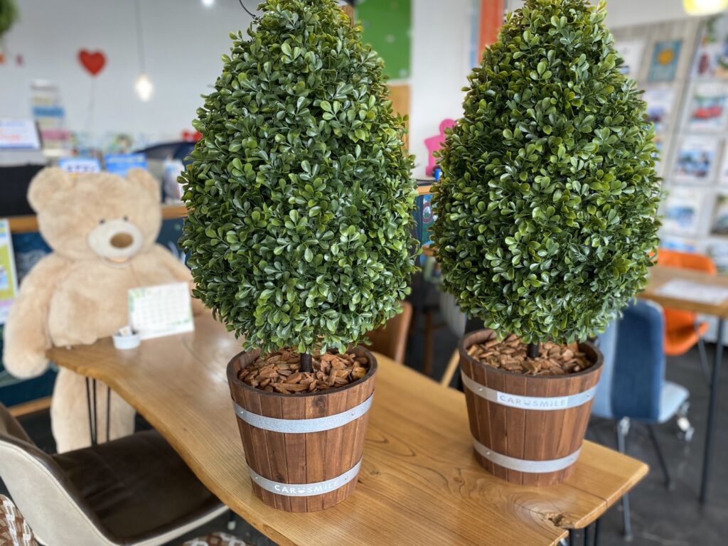 ＩＫＥＡに行ってフェイクグリーンを買ってきました☺その②